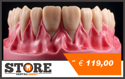 Product image of the product “upper jaw model with root teeth in a pink acrylic base ”