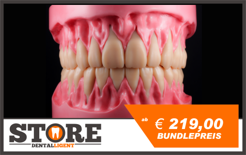 Product image of the product “BUNDLE - lower & upper jaw model with root teeth in a pink acrylic base ”
