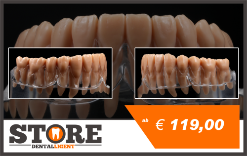 Product image of the product “lower jaw model with root teeth in a clear acrylic base ”