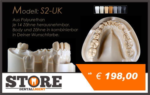 Product image of the product “DEMO Modell S2 - UK -  each 14 teeth removeable. Body and teeth to combine ”