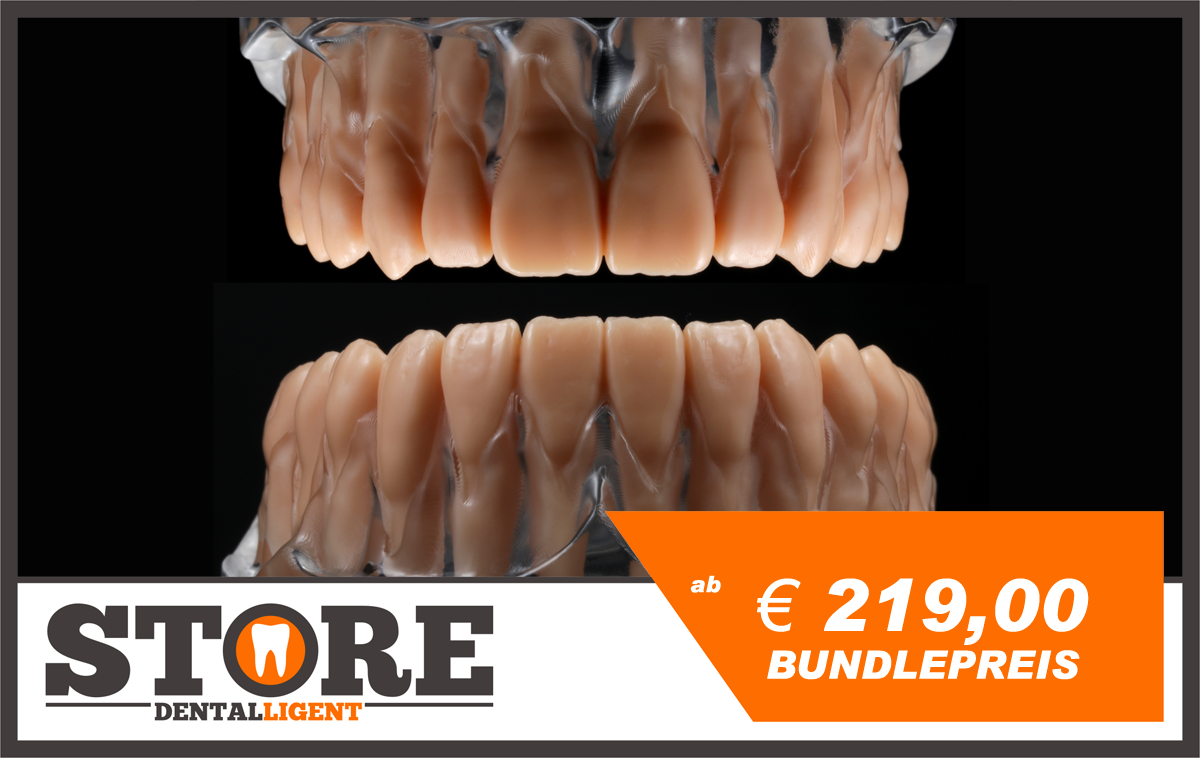 Product image 1 of the product “BUNDLE - lower & upper jaw model with root teeth in a clear acrylic base ”
