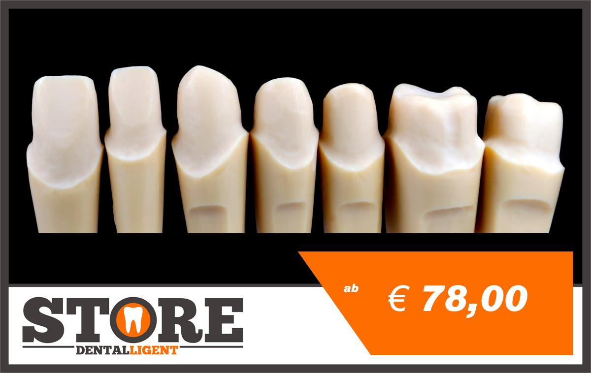 Product image 1 of the product “OK stumps in a set of 14 pcs. for DEMO-MODEL S1 ”