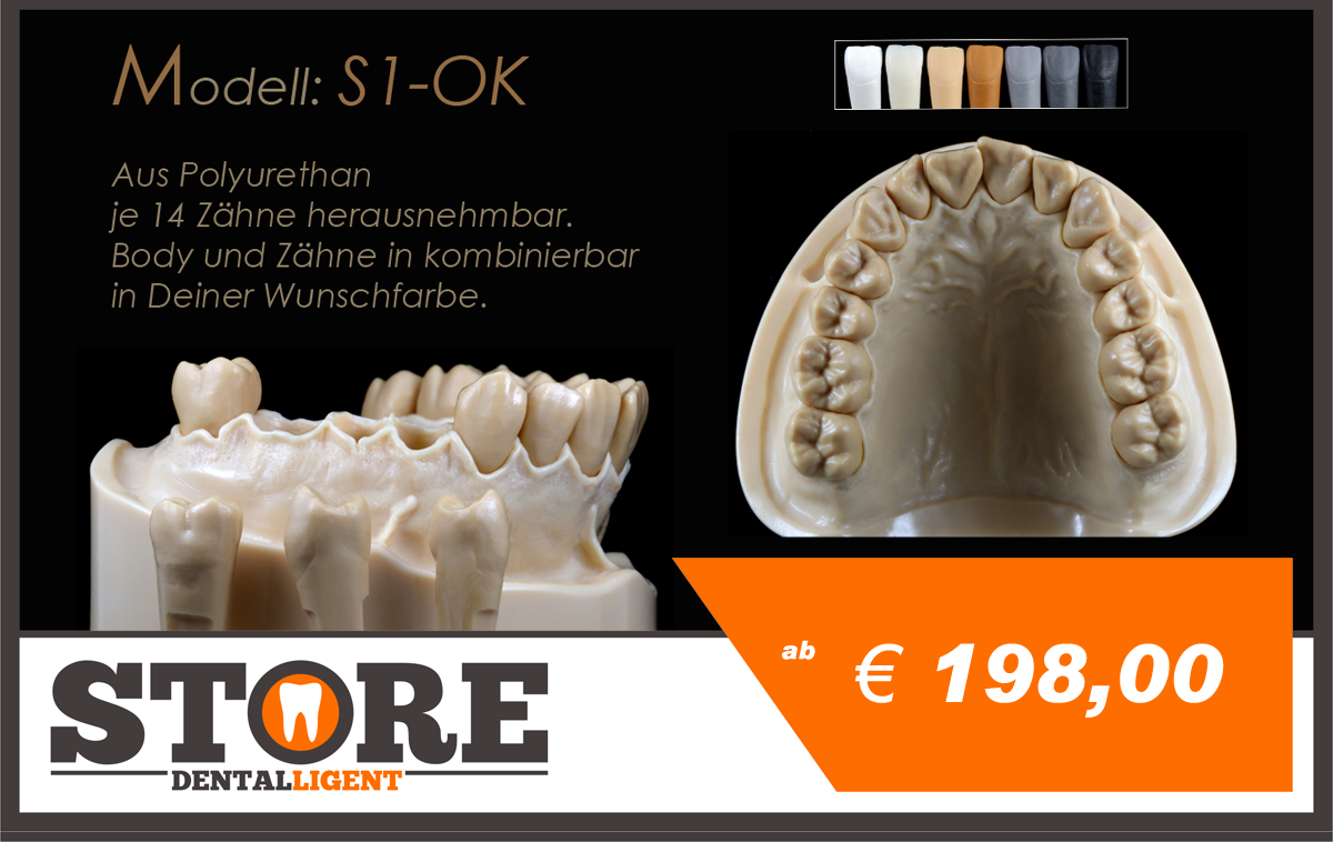 Artikelbild 1 des Artikels “DEMO Modell S-1- OK mit 14 anatomischen, herausnehmbaren Zähnen Grey | A2-A3“