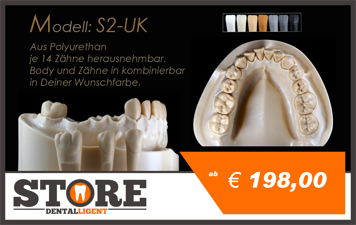 Product image 1 of the product “DEMO Modell S2 - UK -  each 14 teeth removeable. Body and teeth to combine ”