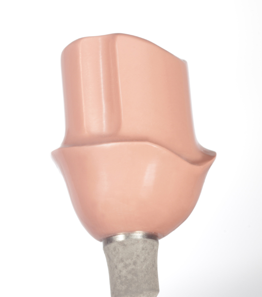 Product image 2 of the product “PINK PEEK telescopic-abutment with 0 ° -angled milling, included adhesive, base material and processing. ”