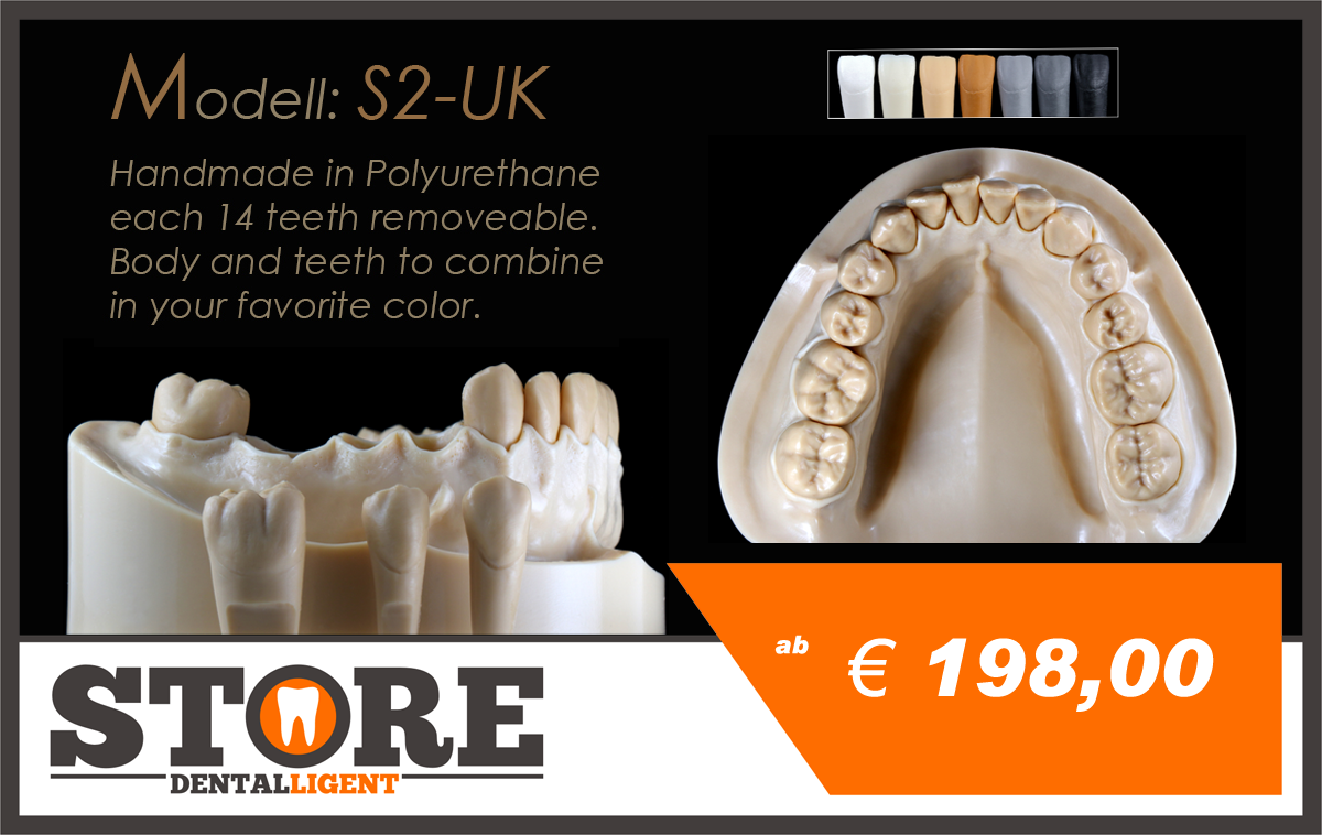 Product image 2 of the product “DEMO Modell S2 - UK -  each 14 teeth removeable. Body and teeth to combine ”