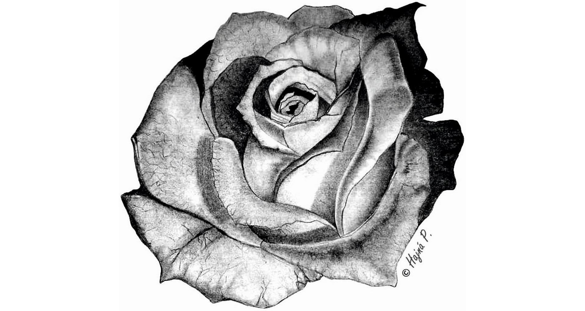 Artikelbild 3 des Artikels “Hurricane ® Rose - HP Bohrerständer Ø 119 mm “